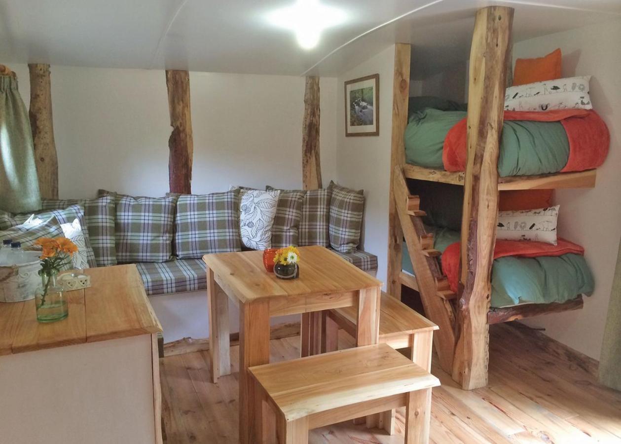Florence Springs Glamping Gumfreston エクステリア 写真